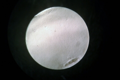 0_43_2014-05-02_18_58_30