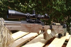 1000_IMG_20150807_143316891