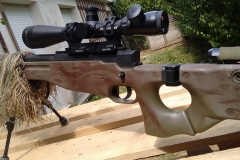 1000_IMG_20150807_143321571