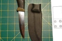 12180682_1713098262245139_863253913_o